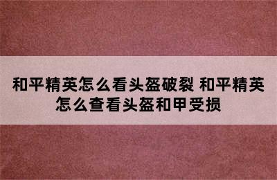 和平精英怎么看头盔破裂 和平精英怎么查看头盔和甲受损